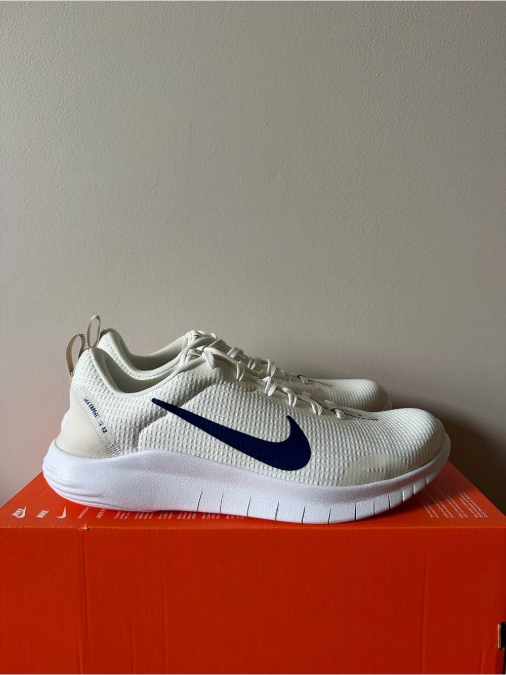 Nike Flex Experience RN 12 White Royal Blue DV0740-103 Men’s Size 9